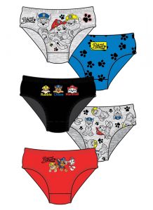 Paw Patrol Briefs